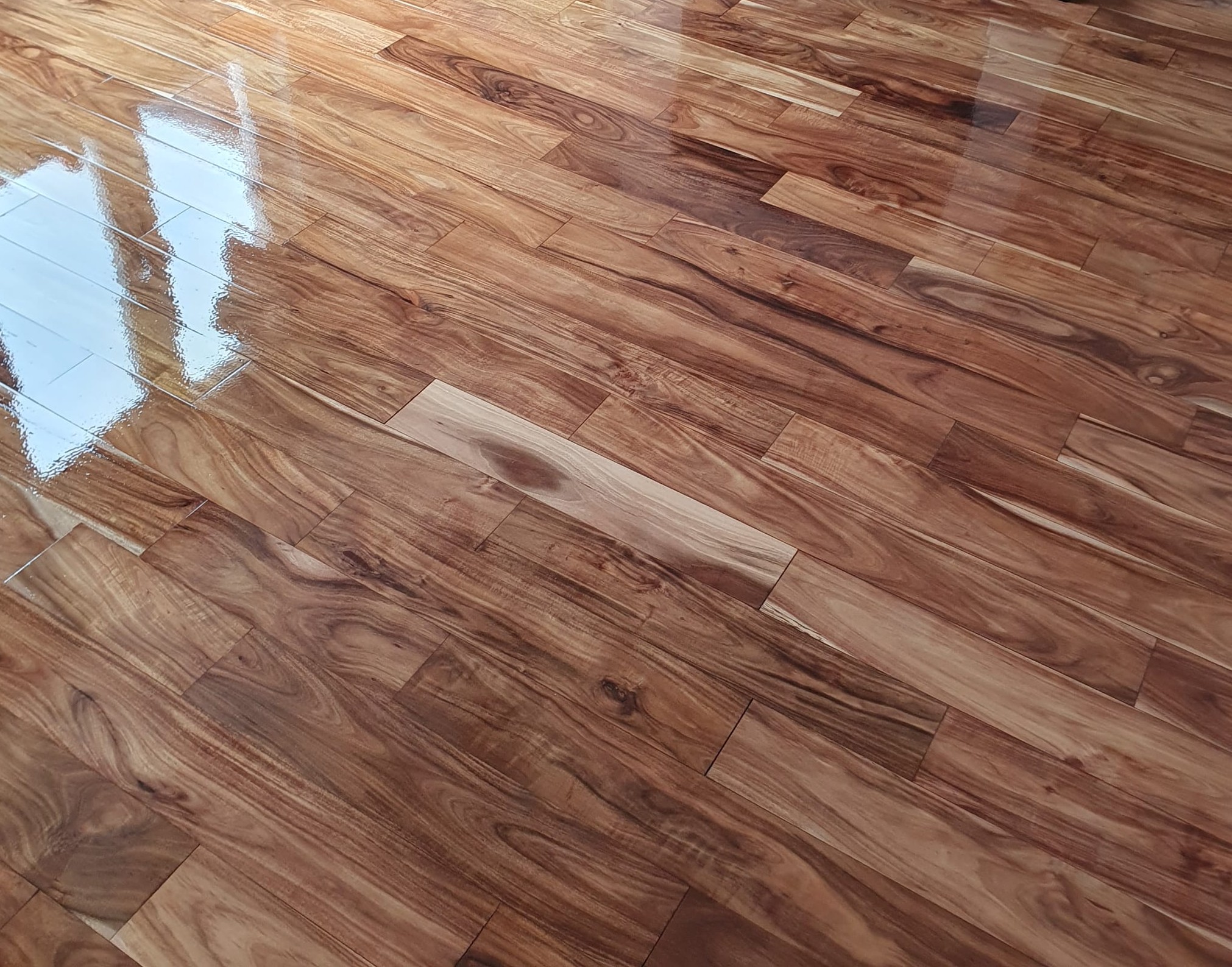 Polished hardwood floor in a bright room